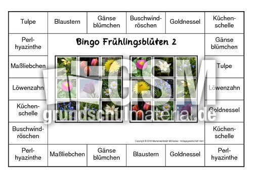 Bingo-Frühlingsblüten-2.pdf